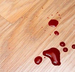 Blood & Bodily Fluid Cleanup